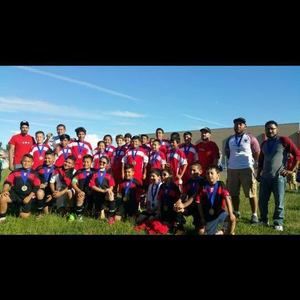 Meet your Posher, Vincent